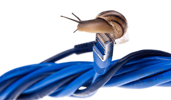 Snail resting atop ethernet cable representing slow internet service