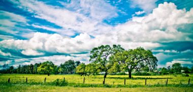 Beautiful vista of Sonoma County skyline at midday