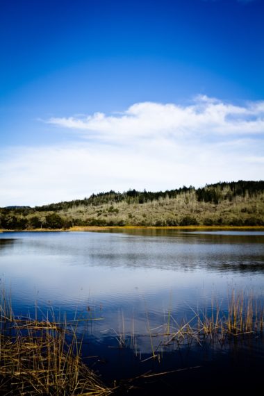 Beautiful vista of Russian River in Sonoma County