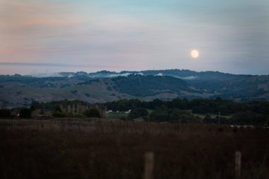 Grassy Sonoma County hills at the twilight hour