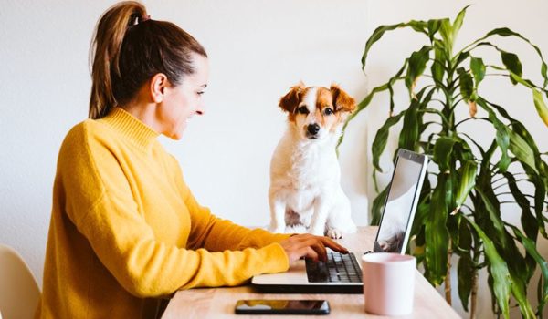 young woman working on laptop at home during covid-19 with small dog